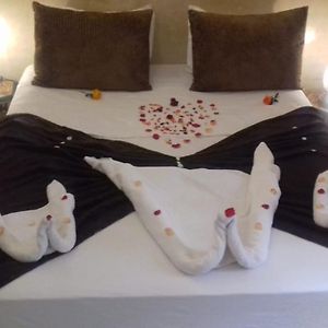 Comfort Suite